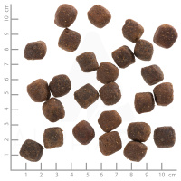 wolfsblut_deep_glade_adult