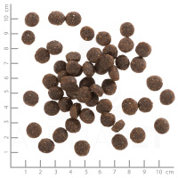 wolfsblut_range_lamb_puppy