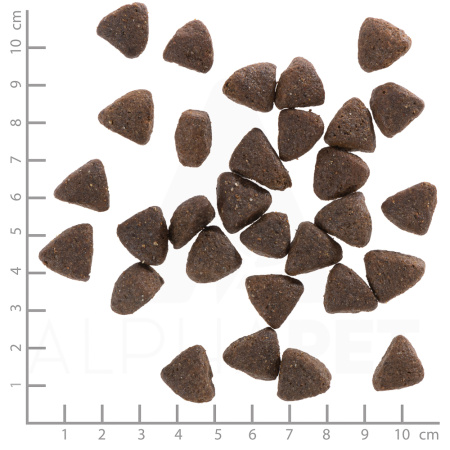 wolfsblut_wild_boar_adult