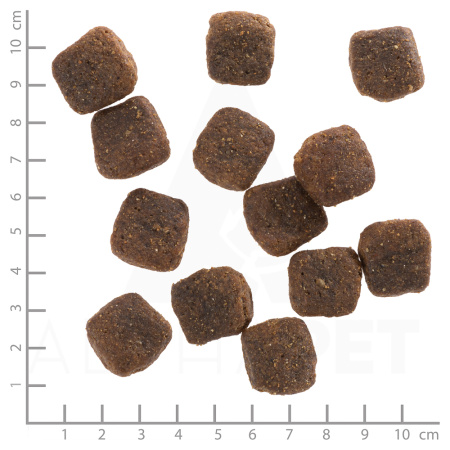 wolfsblut_wild_duck_large_breed