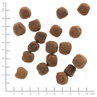 wolfsblut_wild_duck_adult