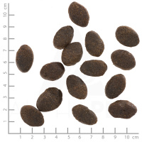 wolfsblut_wild_pacific_adult_4260262761545